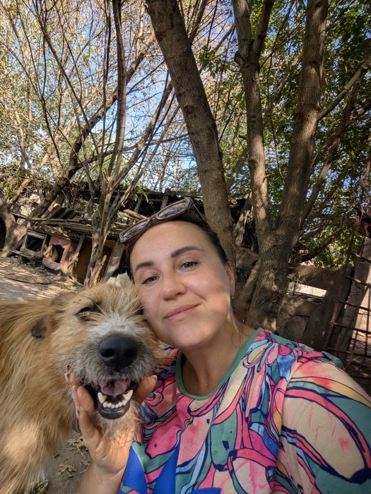 Песик Тобіас шукає сім'ю