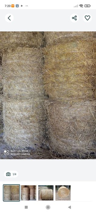 Słoma, siano, tegoroczne, zbiór 2025, załadunek