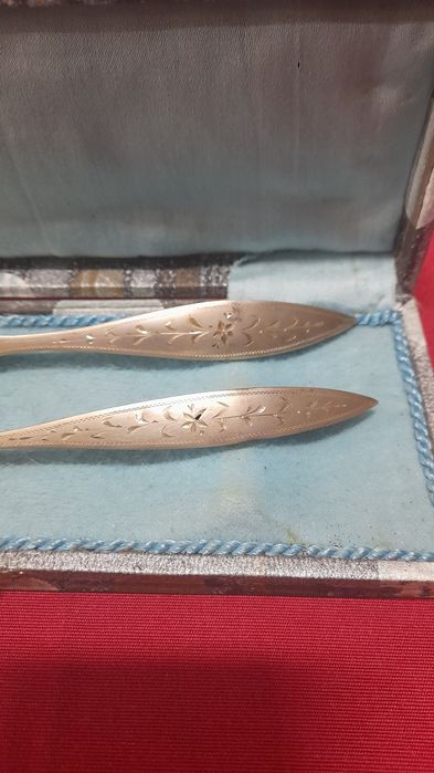 Escovas em Prata javali