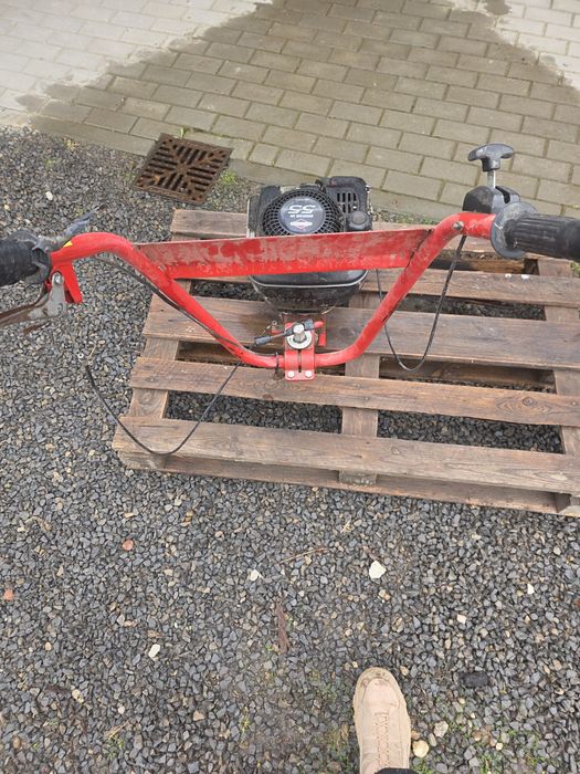 Silnik Baiggs & Stratton od glebogryzarka robix