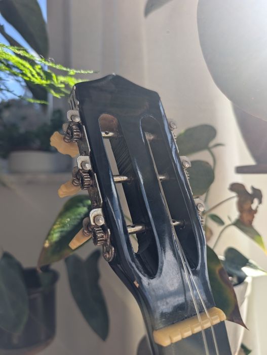 Gitara klasyczna S&M