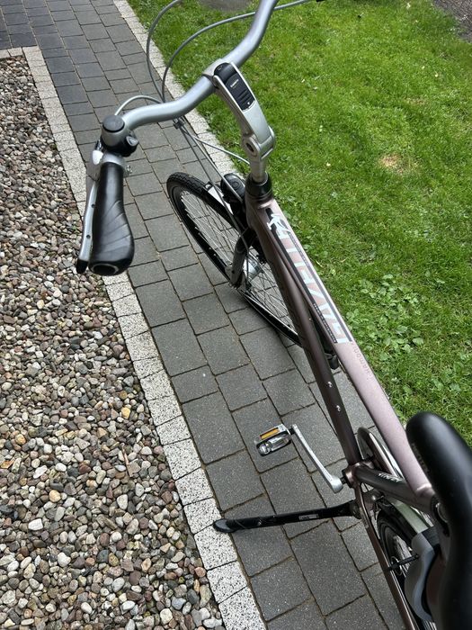 Rower Gazelle Chamonix