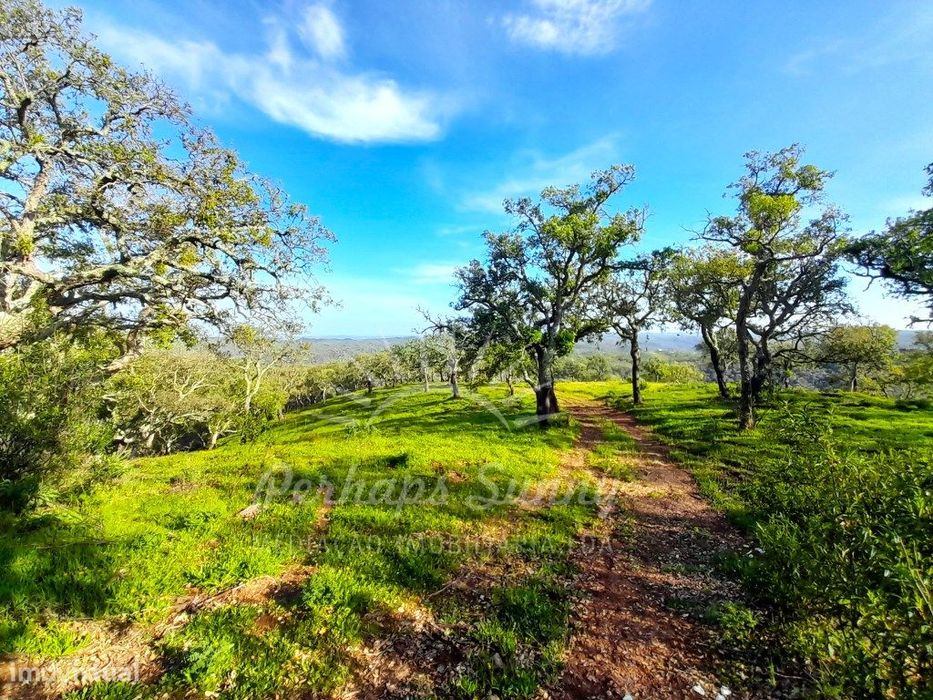 Terreno Rústico Grândola