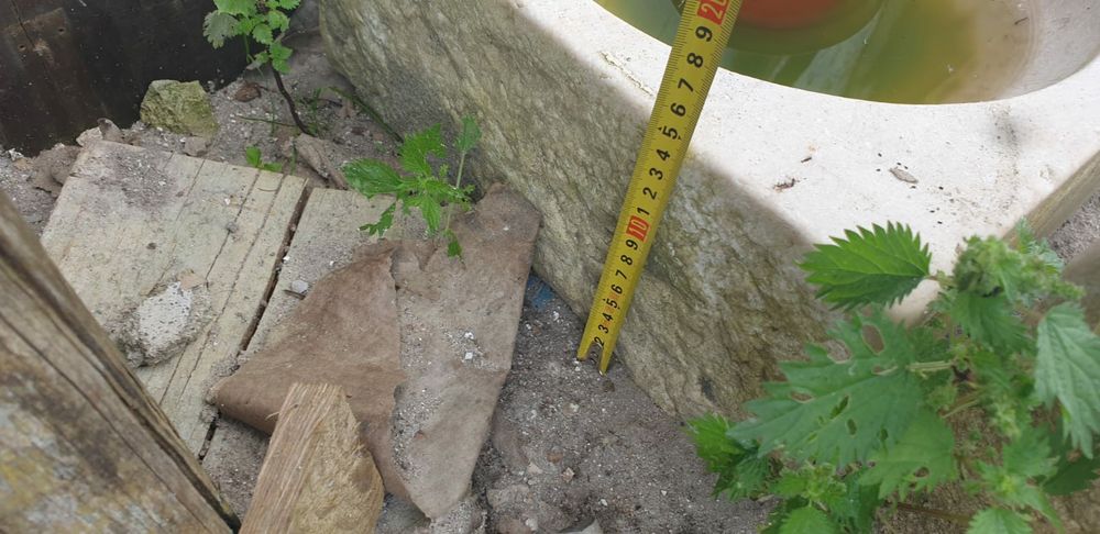 Comedouro / comedor de cimento para animais