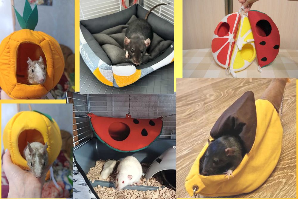 гамак, домик, туннель для крыс, морской свинки, дегу, грызунов.