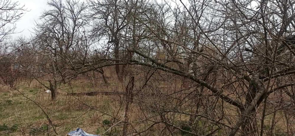 Продам дачу, кооп. Тімірязєва ( вже приєднані до міста)