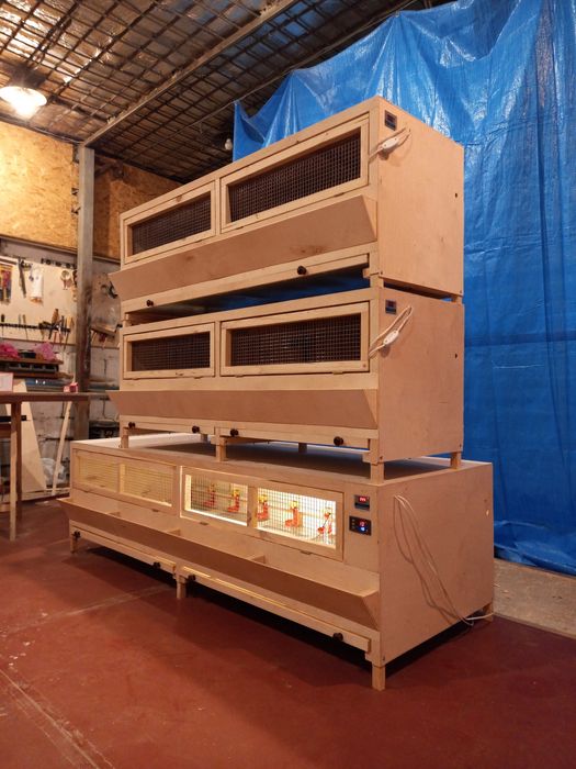 Брудер, ясли, клетка для цыплят.