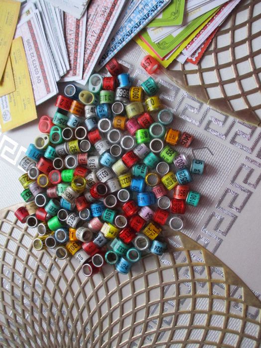 Obrączki dla gołębi