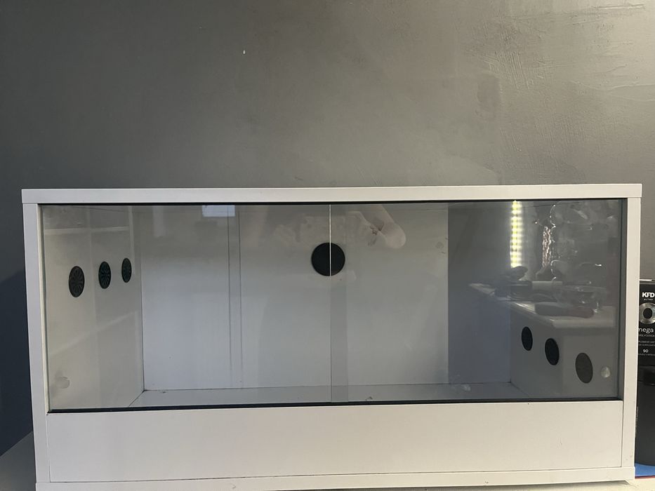 Terrararium+myszy gratis