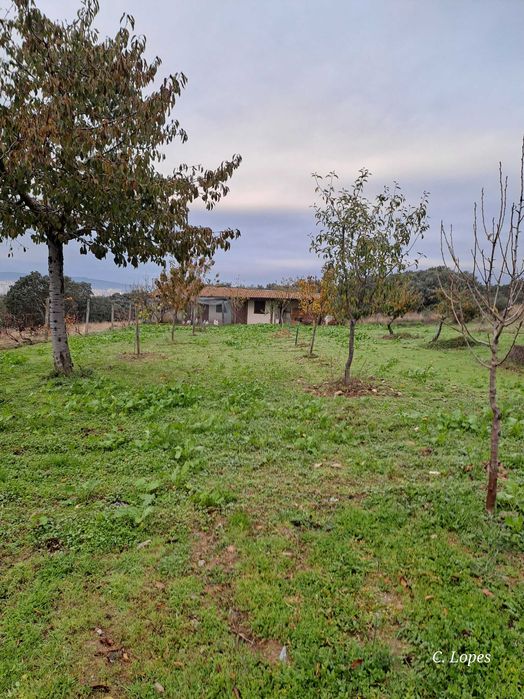 Vivenda Rústica/Moderna