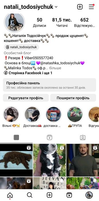 Найкраща з виводку тигруля. Дівчинка