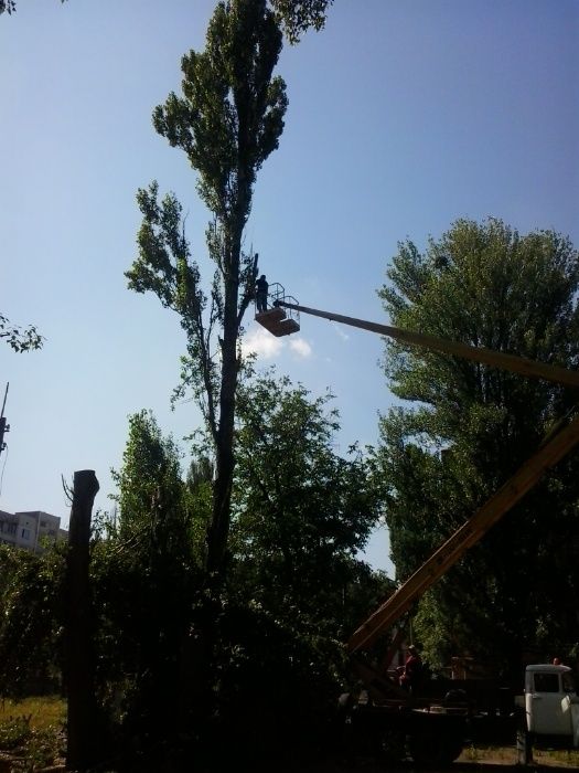 Зрізання Видалення дерев Чищення ділянок Демонтажні Земляні роботи.