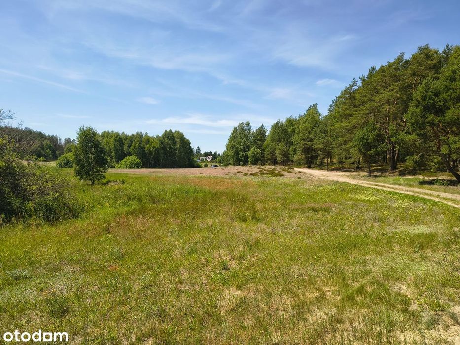 Działka budowlana około 1000m² blisko jeziora - Widok 6