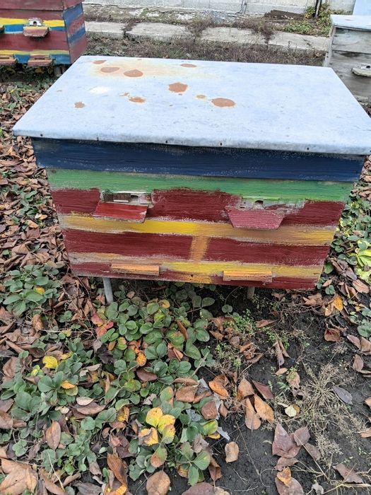 Продам вулики лежаки