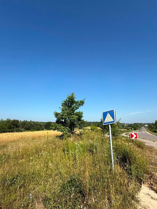 Фото ділянки