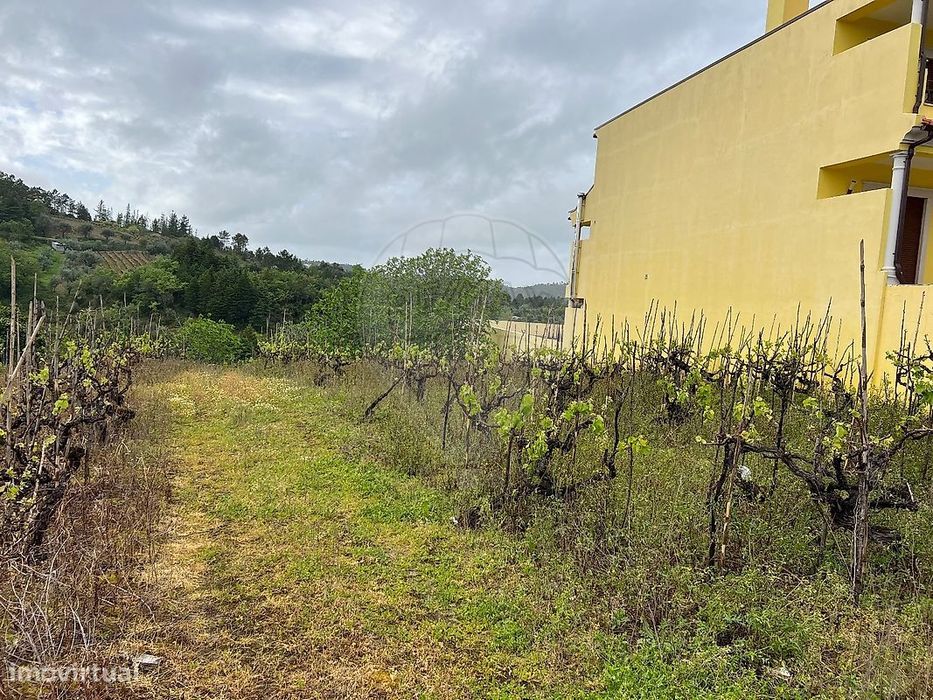 Terreno  para venda