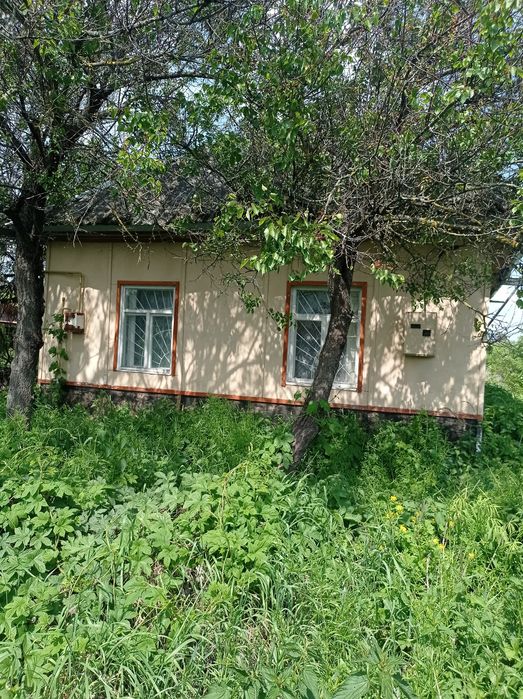 Помешкання в селі Мрин Ніжинського району.