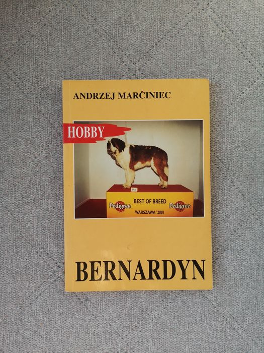 Bernardyn, książka, Andrzej Marciniec