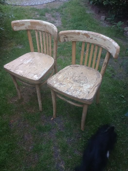 Dwa krzesła Thonet