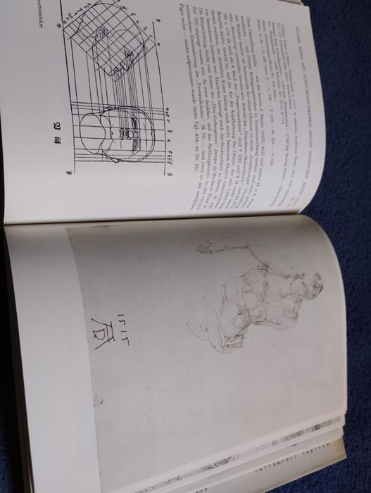 Die Dürer Zeichnungen der Albertina. Walther Koschatzky, Alice Strobl