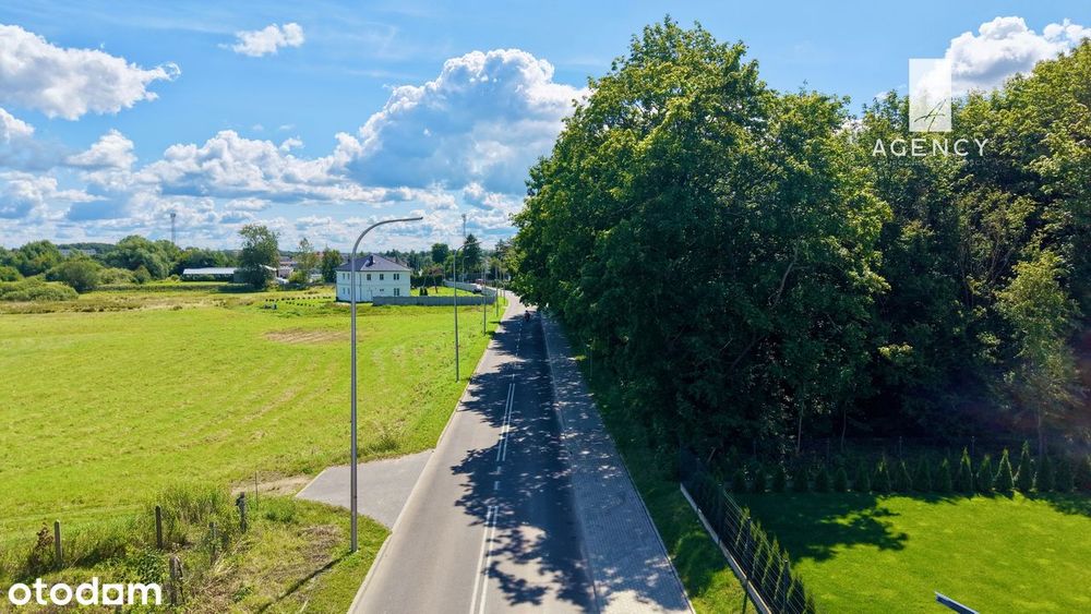 Zdjęcie 6