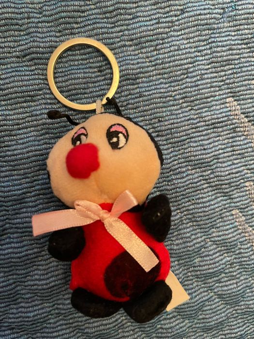 Porta chaves joaninha