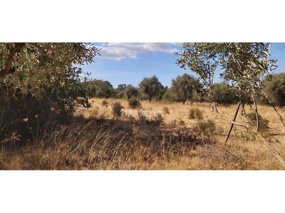 Terreno rústico, em zona agrícola, Amoreira, Paderne, Albufeira, Al... — Paderne, Faro