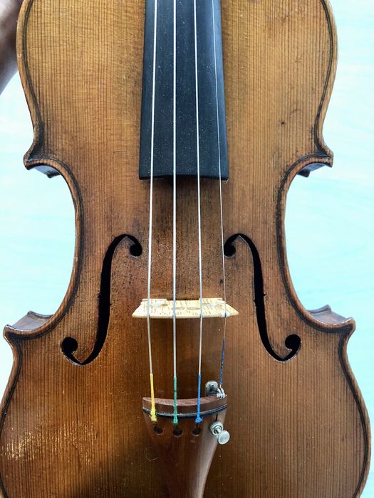 Violino 4/4 pronto a tocar