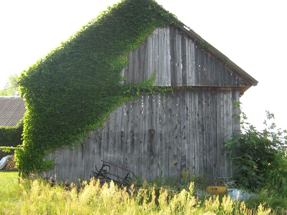 Skup Stodół,Skup starego Drewna,Rozbiórka stodół,Rozbiórki