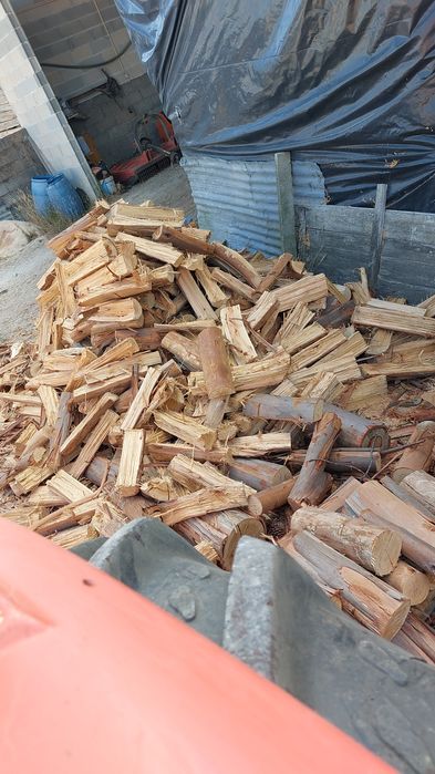 Lanha eucalipto seca