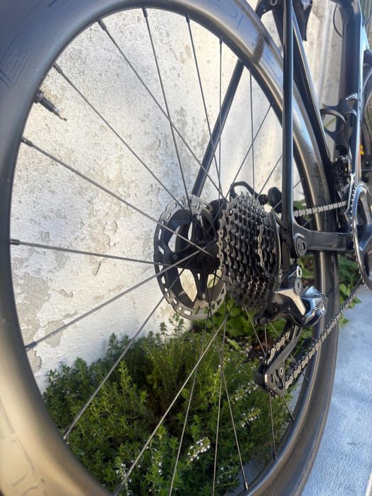 Canyon Endurance CF SL Disc 8.0