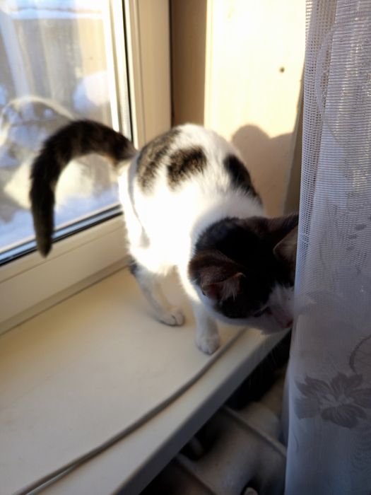 Маленький клубочок щастя.