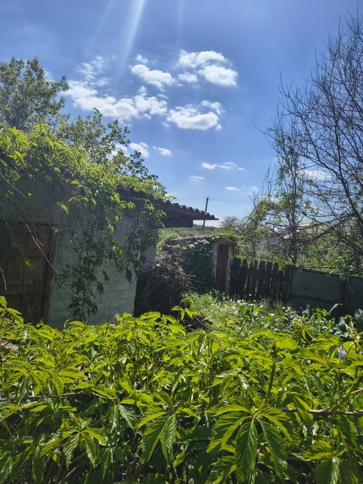 Продається будинок село Попівка