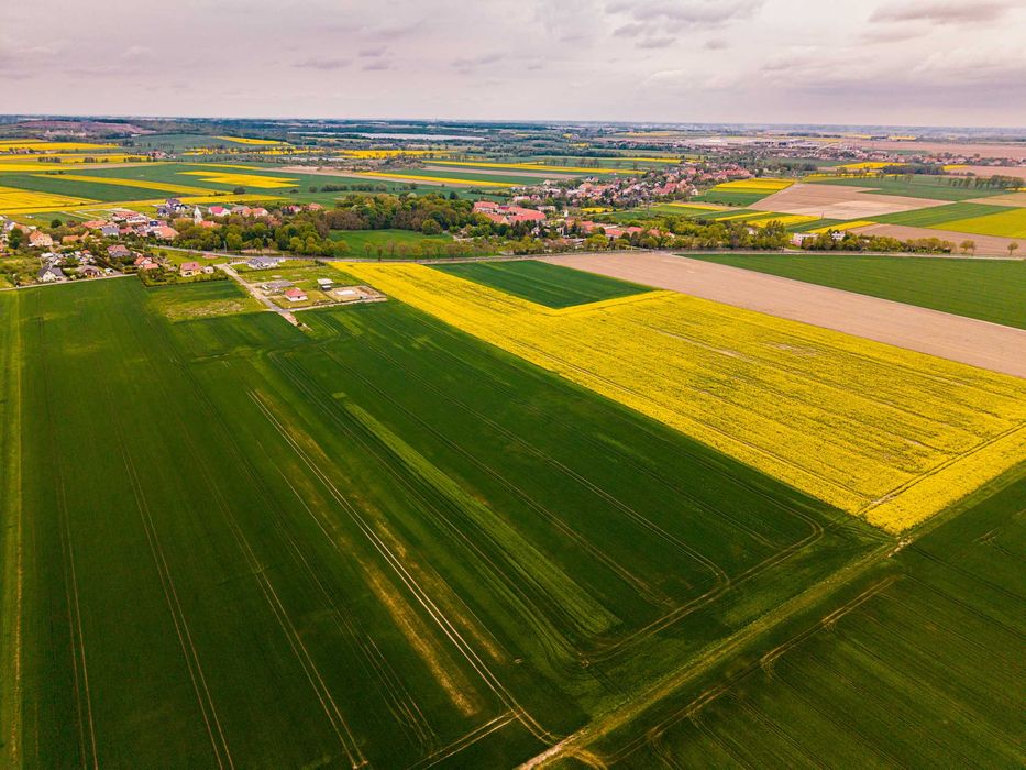 Działki - Piotrowice Gmina Męcinka - Piękne Widoki!