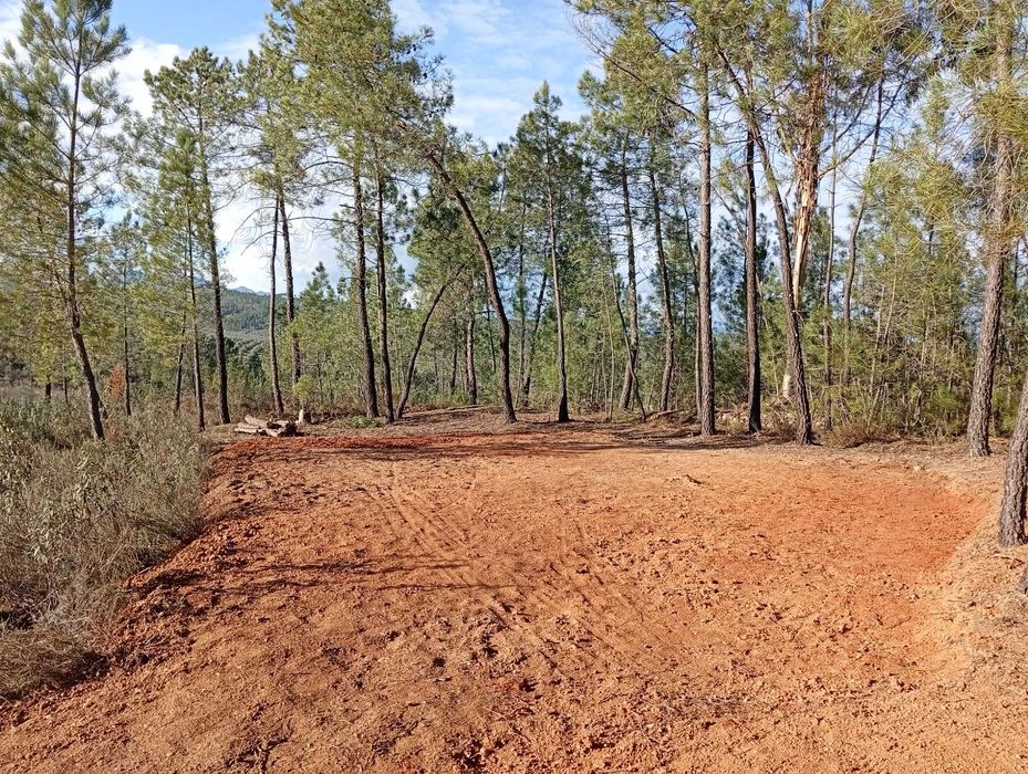 Terreno in Serrasqueira 1.1ha - Rustic land in Serrasqueira 1.1ha