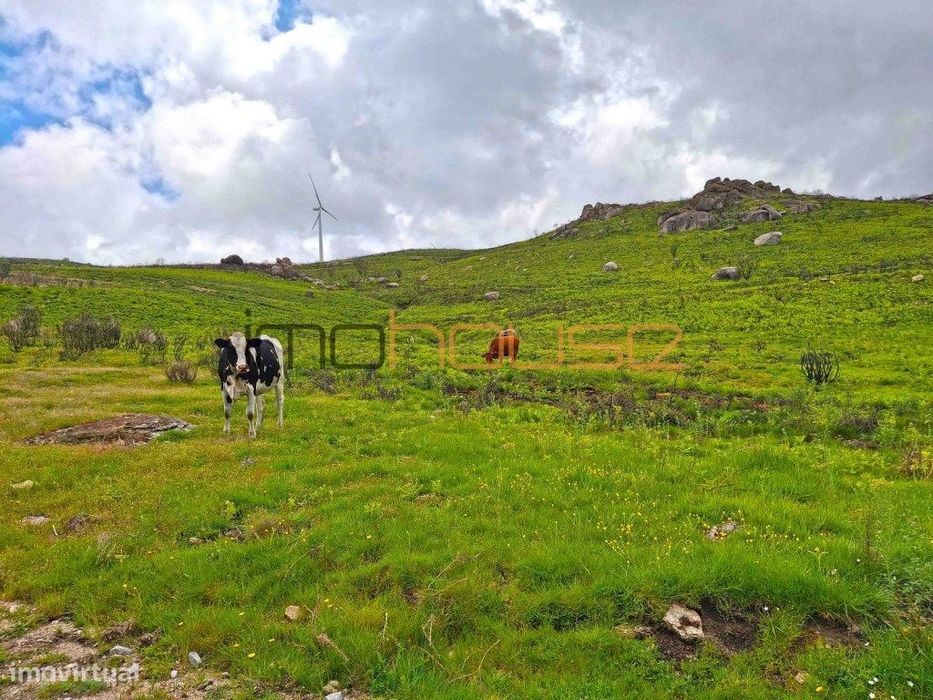 Quinta de 36 hectares - Várias edificações