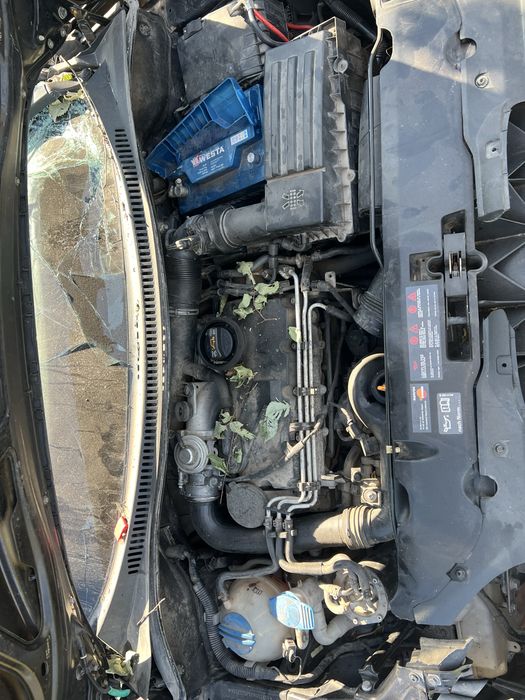 сіат альтеа