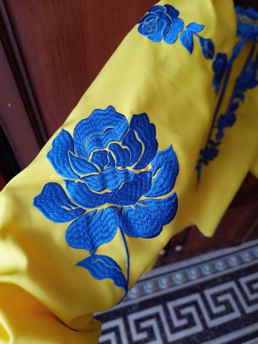 Вишиванка і юбка дитяча