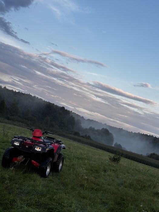 Arctic Cat