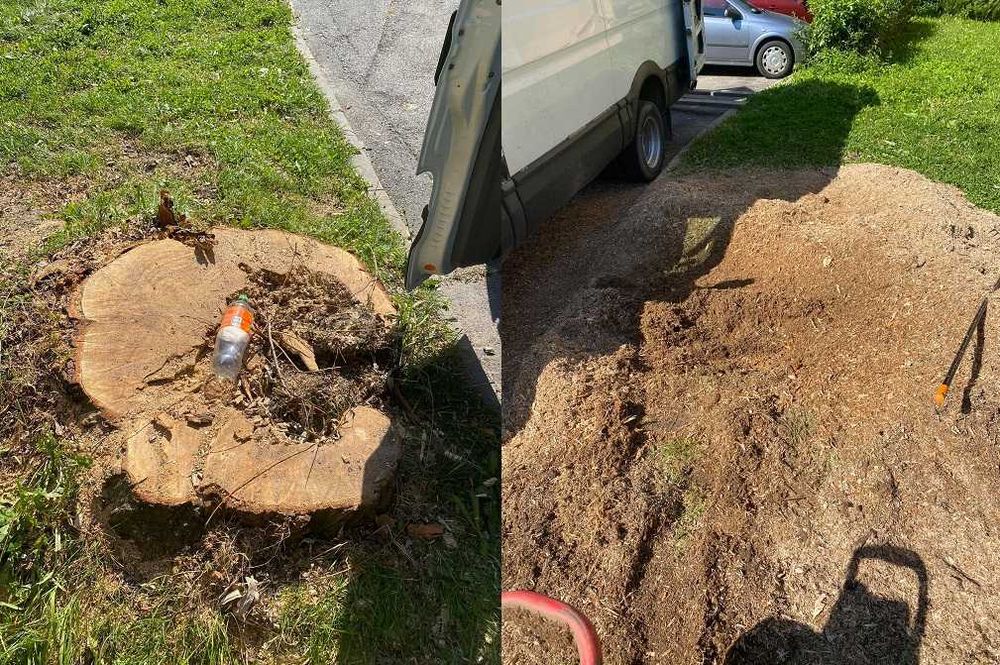 Zrębkowanie Frezowanie Pni Mielenie Gałęzi, Wycinka Drzew