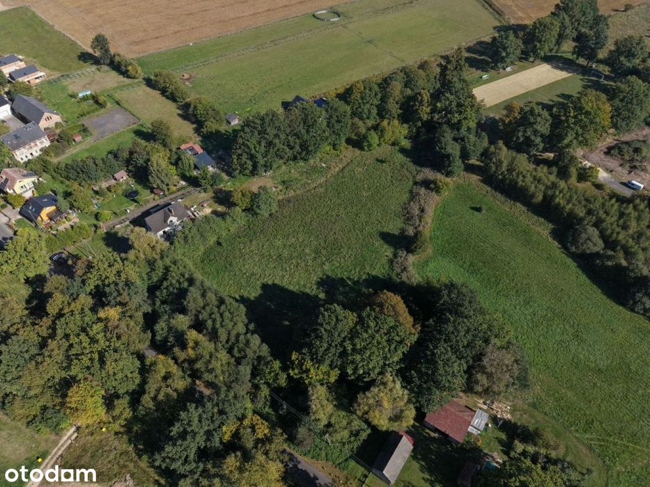 Działka 320 na sprzedaż, Łaziska 6200 m²! - Widok 4