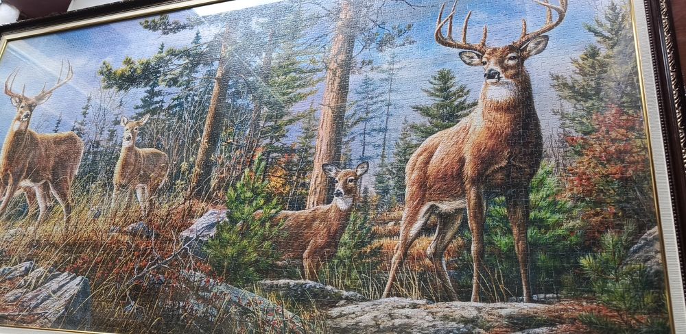 Королівська сім'я оленів