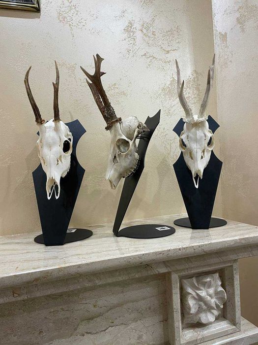 Медальйон під трофей