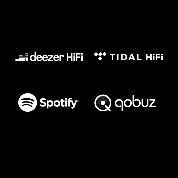 Deezer HiFi | Tidal HiFi | Spotify HiFi — на ваш аккаунт.
