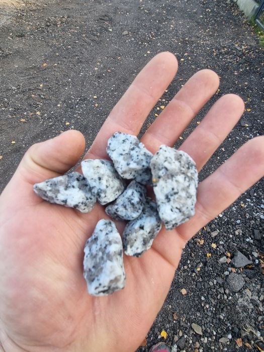 Grys granitowy dalmatyńczyk 16-22 kamień ogrodowy dekoracyjny