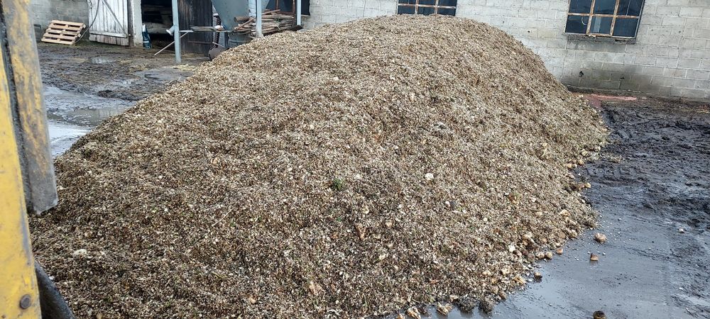 Wyslodki Korzonki Buraczane