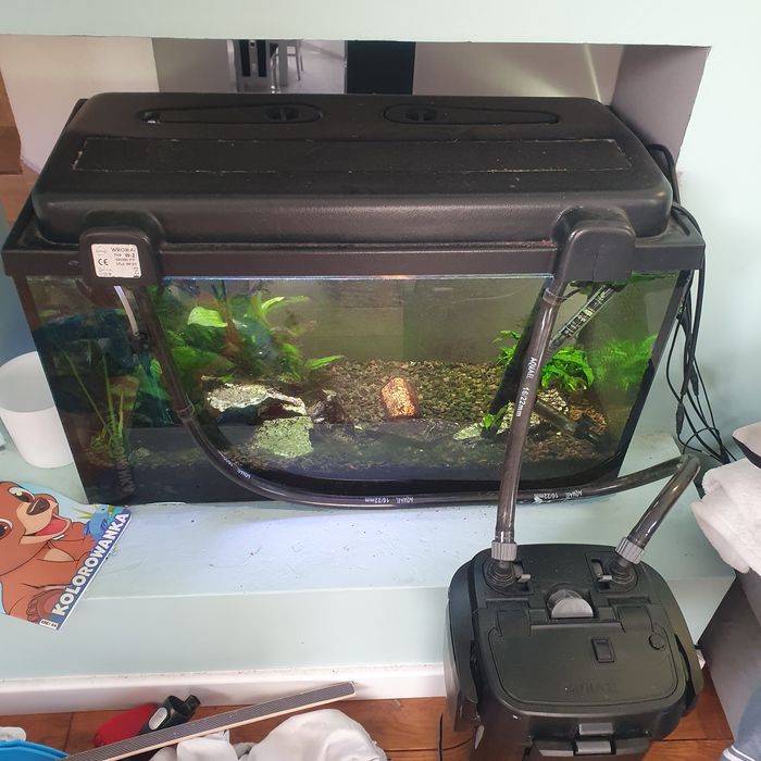 Akwarium cały zestaw