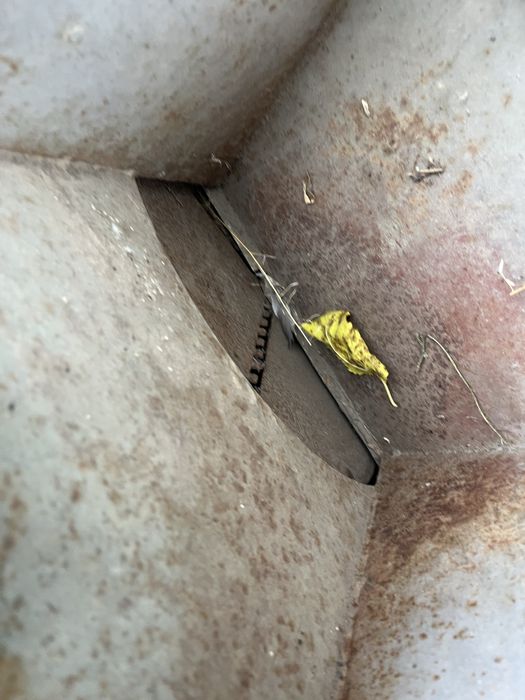 Корнерезка дискова