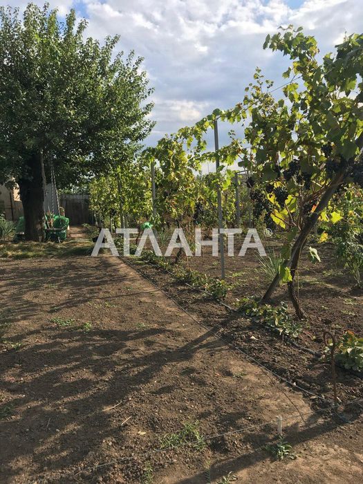 дом в новой Дофиновке