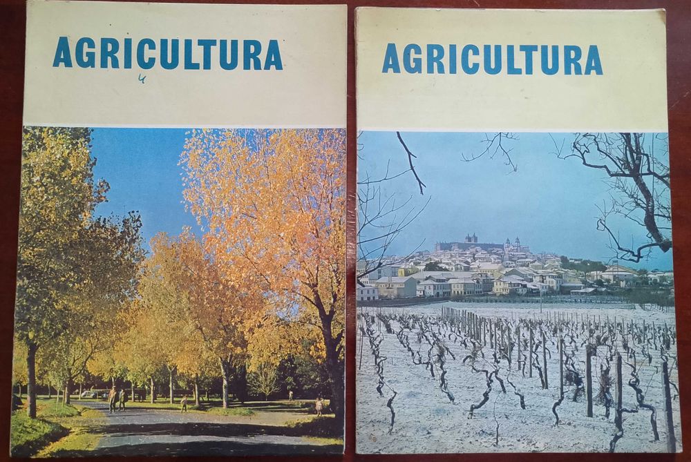 Agricultura 1963 Direção Geral Serviços Agrícolas
